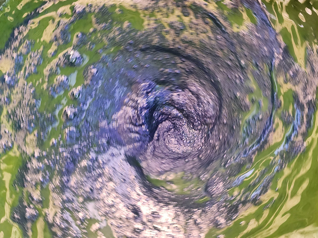 Community Indigo Dip